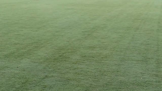 Бронницы Зоркий обзор