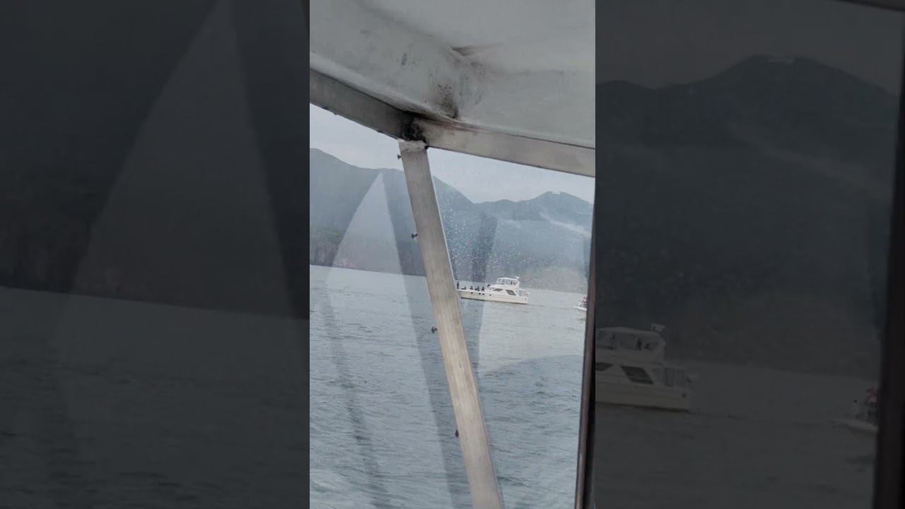 Фильм найди касатку в океане #dima_kruzheva #камчатка #океан  #дима_кружева