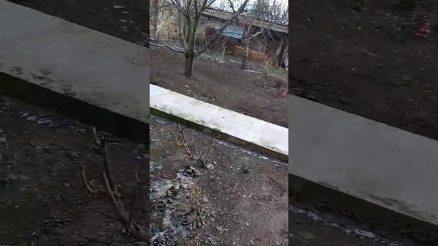 персику тепло ,а мне не очень крым ,холод -10,-11давно такого не было