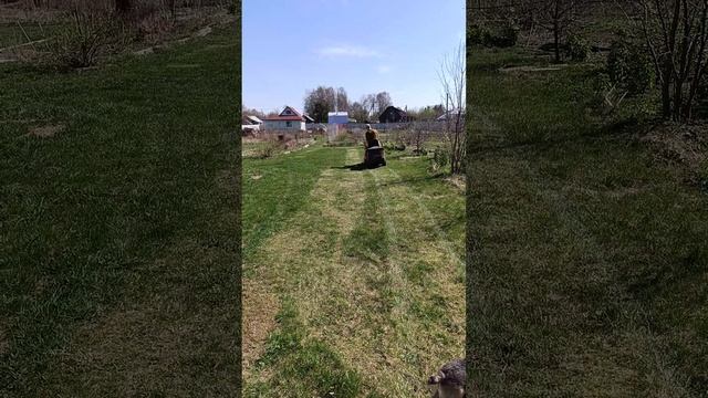 VID_20250420_DWR620