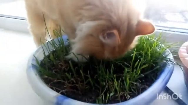 0a719042be0f92839f8b703566d7a3a3