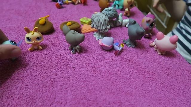 Chupa Chups Littlest Pet Shop Fresh Toys Kinder Moomins Kinder Surprise