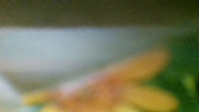 Песня Филина(В лесу и летом, и в мороз прожить не могут без угроз(к/ф