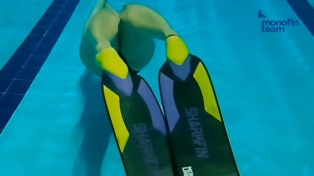 New Toy Is Here Already