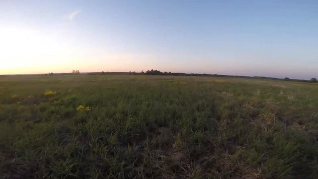 коростель из под носа