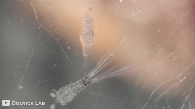 4fc00c55684046828cc6e1f290572dd2