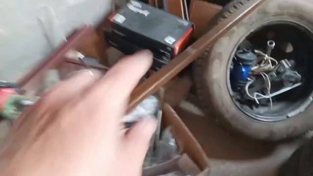 трубогиб гиббон