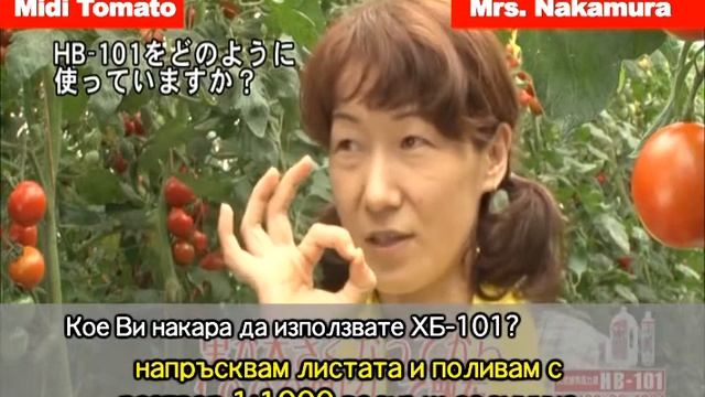 42e19d44fe17a680b48f07434e63b8f0