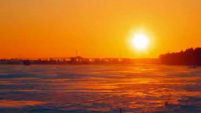 4CUS - Prekrasnoe Daleko