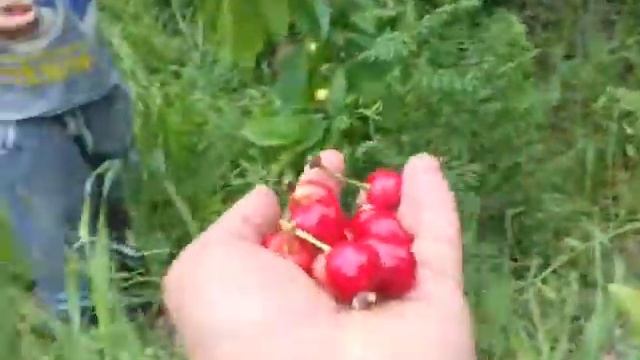 7-май 2017 йил