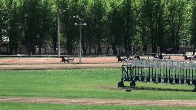 Московский ипподром. Бега. 14.05.17. Квалификационный заезд 1-а(230)