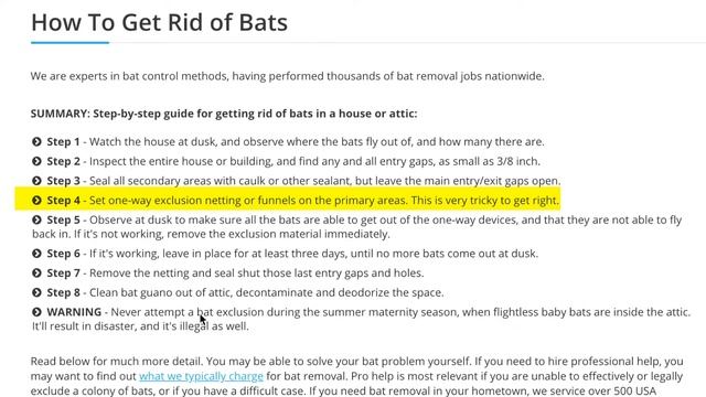 How To Get Rid Of Bats (HUMANELY!) In 2025