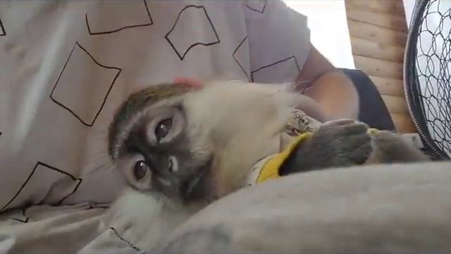 F9e967a1279da4534ce24443d42f6ffc