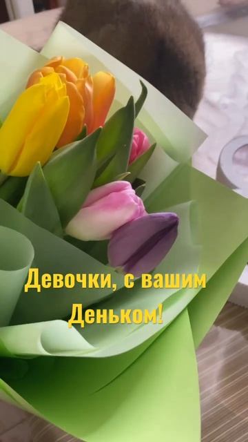 В день моих Девочек! #кот #cat #8мартапоздравление