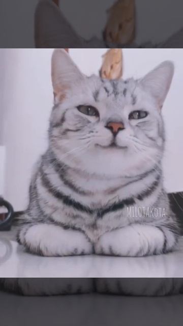 улыбка😊😊😊