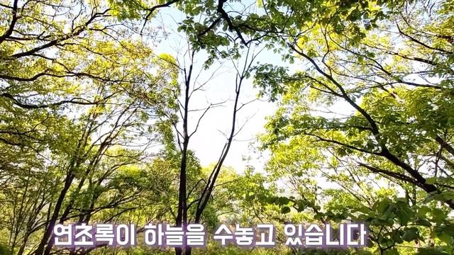 봄 하늘로 뻗은 하늘 그림 - A Picture Of The Sky Stretching Out Into The Spring Sky