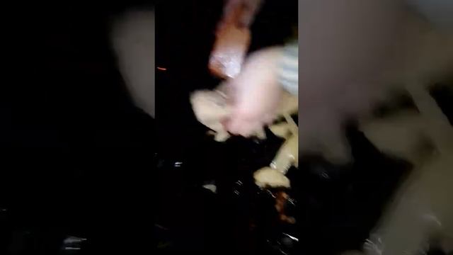 готовим когда уехали взрослые