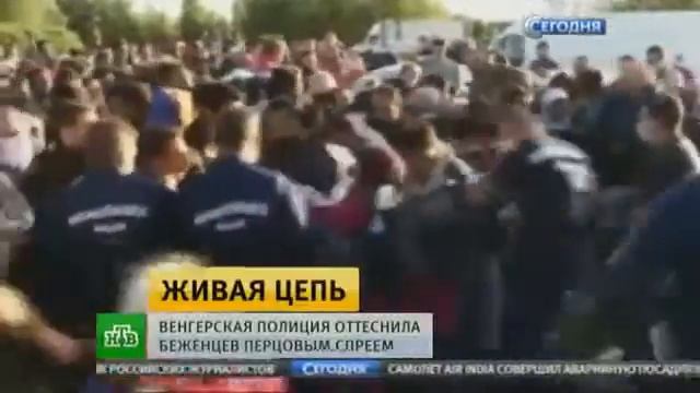 Мигранты в Венгрии бунтуют Последние новости сегодн