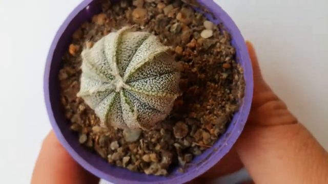 C40cd6baaf585e505814637dd50b5ff9