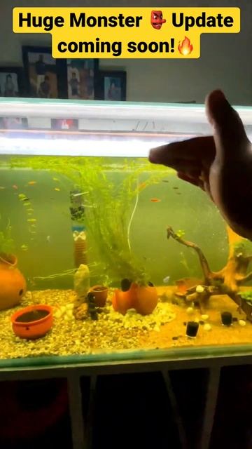 C03c3ee84471ccc156951a79ce60855c