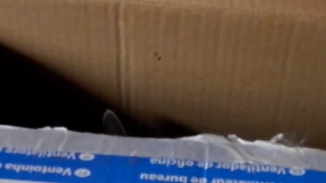 Acf1dffde9f2396223836678f936ba84