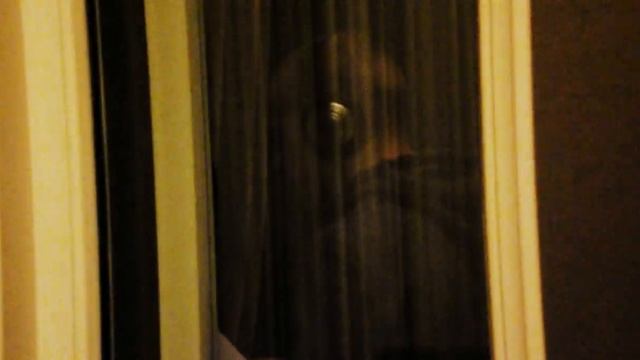 Кислый на студии.AVI