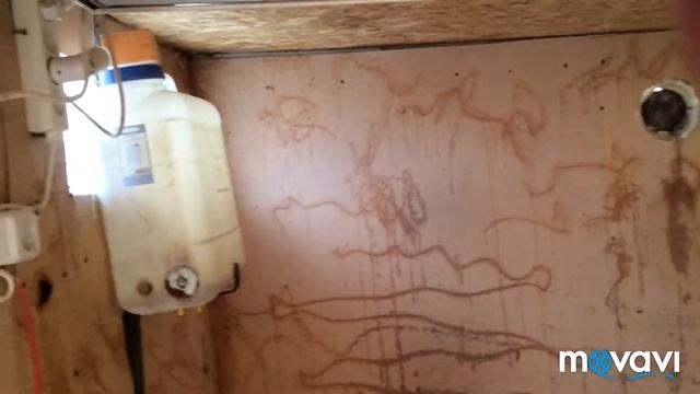 А вы подготовили свои перепелятники и курятники к непрошенным Гостям !