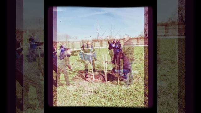 100 лет BVM Могилевторчермет.... РЯБИНОВЫЙ лес))).. продолжение следует...