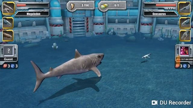 #6 Diário Primitivo Hyneria Bolada