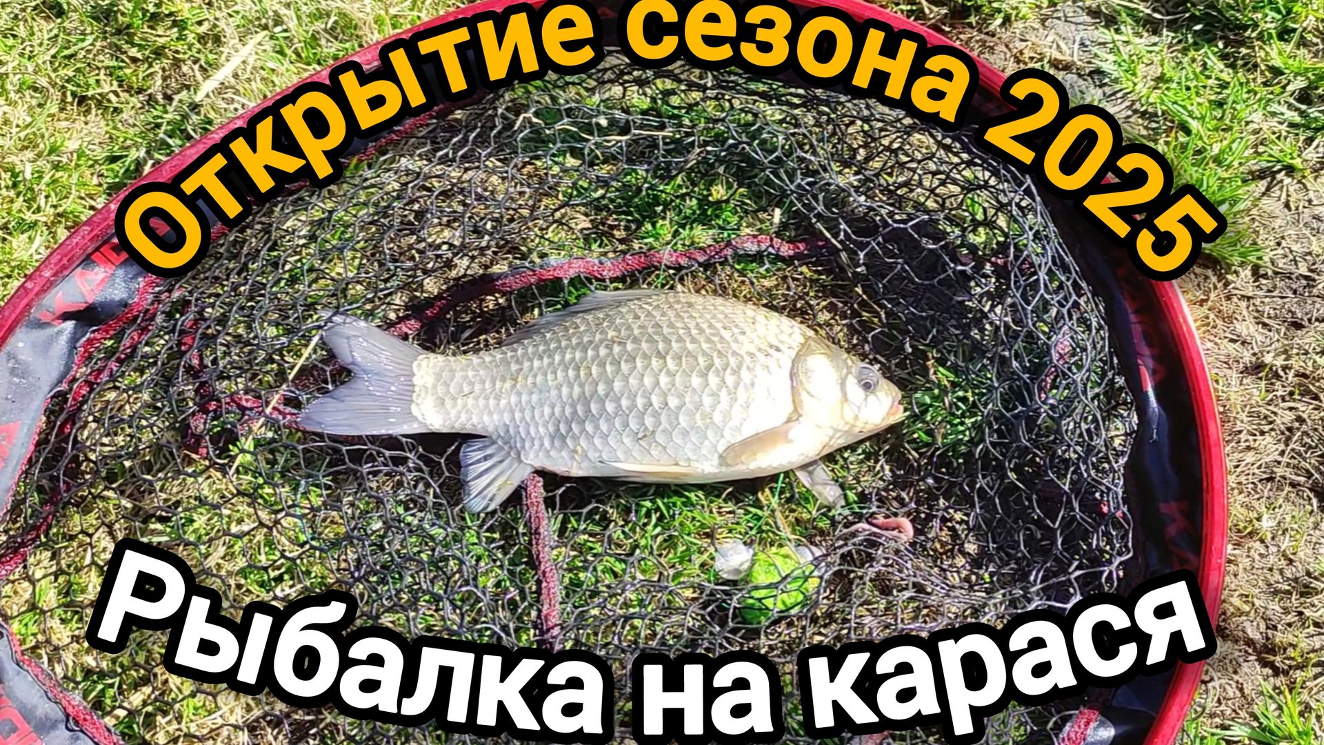 Открытие сезона 2025! Рыбалка на донки, ловлю карасей по холодной воде Весна 2025 #рыбалка #fishing