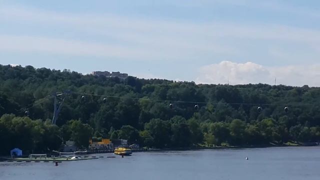 Лужники