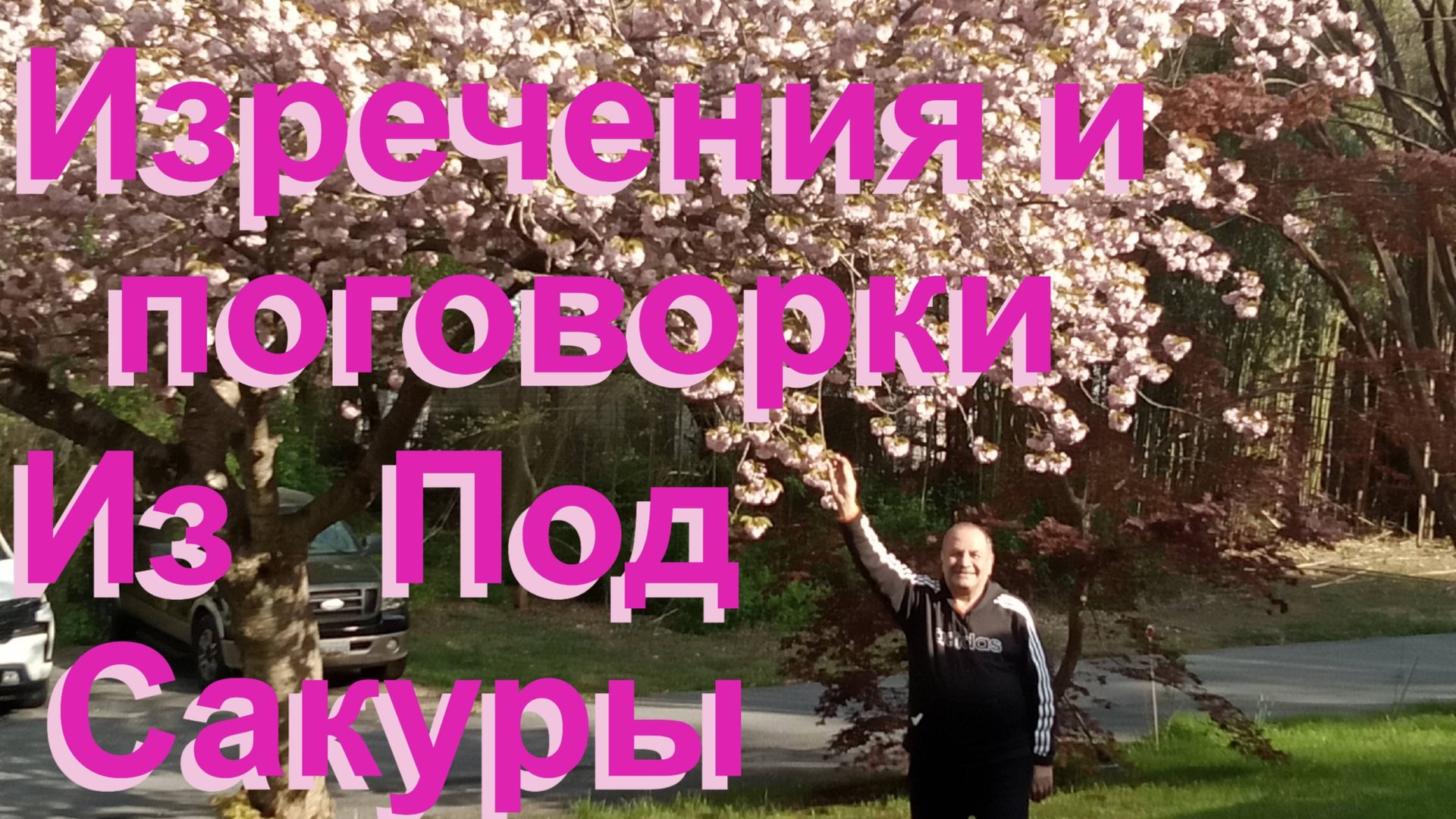 Современные высказывания от Норик Каян. Сборник подоворок  повседневных коротких мыслей  и аЧасть 33