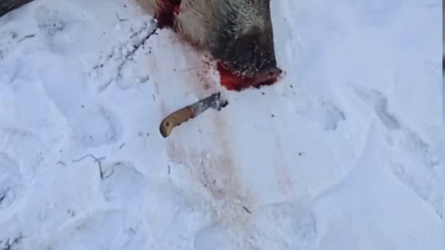 A02183485c9059095863d435418fb263