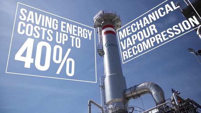 Tomato: Advanced Technological Solutions For The Tomato Industry