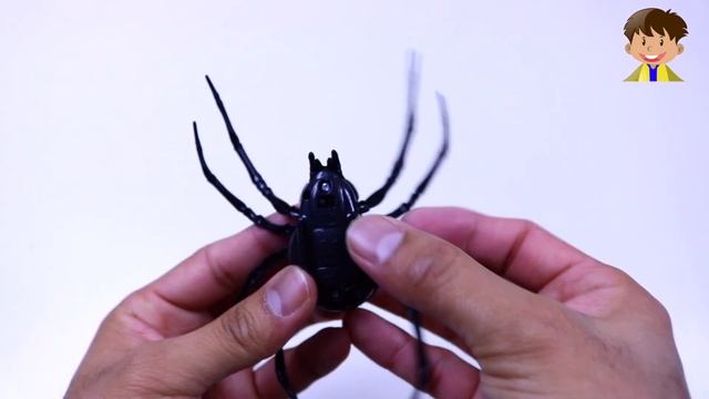 Scary Realistic Alive Crawling Spider Toy Battery-Powered Robotic Toy - Fast Robotic Spider (2019)