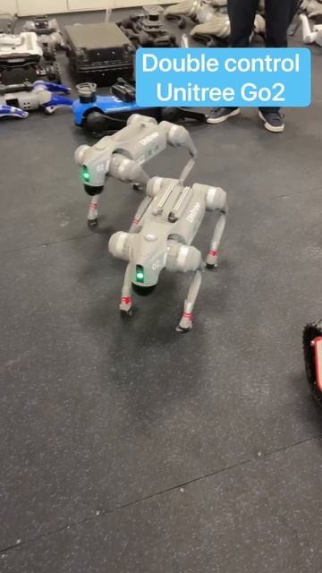 GO_2_совместное_управление