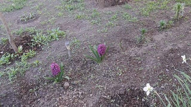 08e77f0af266d02d6853cc0287607b0e