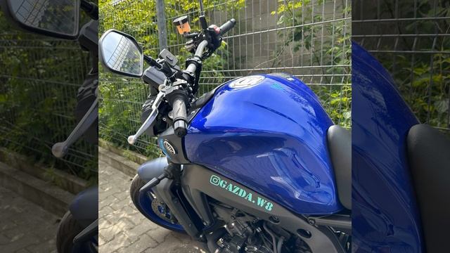 Latynos Ja Pierdole Albatros