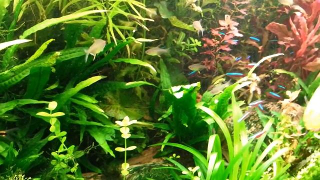 8609f674ca9b9fc71789931ba81a85e2