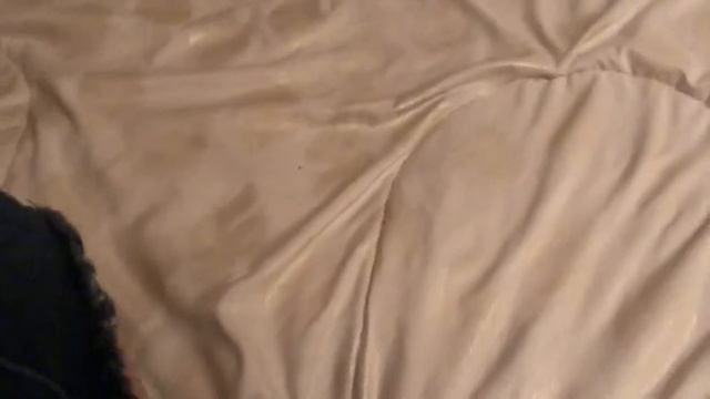 Кино/Ресторан/Шоппинг