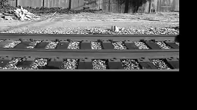 The Book Of The Dead