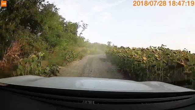 Peugeot 5008 Offroad Mud(1)
