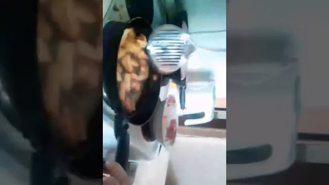 Вторая часть Как мы жарим картошку фри с моим другом