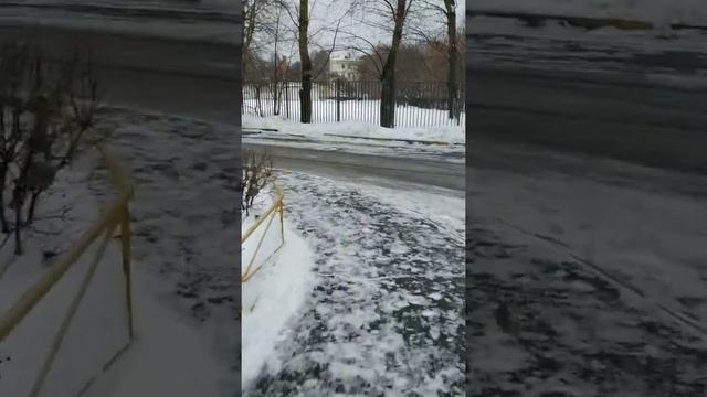 Первый волк