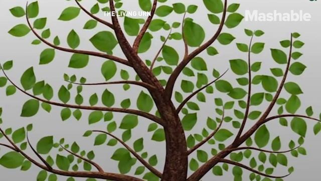 Turn Your Dead Pet Into A Tree