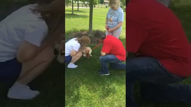 Clementine Goes Home 7-2018