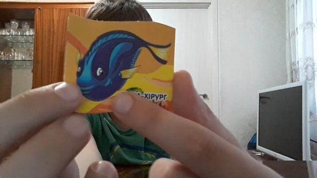 Открываем 7 магнитиков от растишки. Лiтнi пригоди поринай и Морськi пригоди