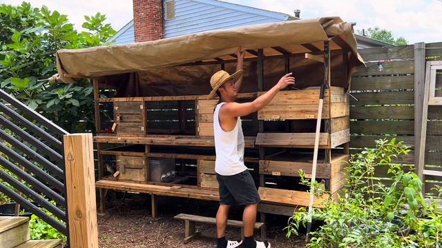 How To Build Quail Cage Hutch With Egg Roll Out Tray From Pallets. EXPLAIN And DESIGN Predator Proo