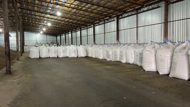 две недели за 1 видео