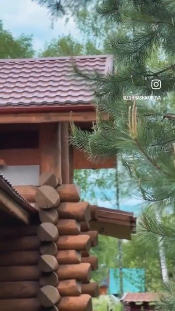 Лесной домик «Боброва хата» #shorts #деревянныедома #кедровыйдом #баняизкедра #домвлесу #домиздерев